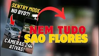 Cuidado com o app de terceiro no BYD Dolphin! Minhas c&acirc;meras deram problema com o calor, entenda!