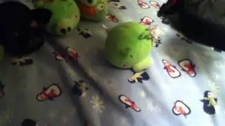 The piggies-meet the new pig