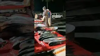 local fish market reality.  #fishmarket #vanglafunny #streetvideo #localmarket