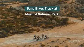 Sand Bikes Track at Mushrif National Park