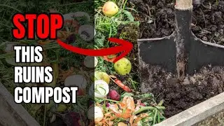 What You're Getting Wrong About Compost