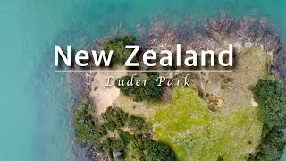 Duder Park | Auckland, New Zealand 🌿🌤️🇳🇿