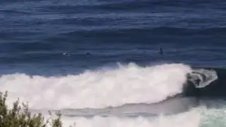 Forries Lefts May 2014