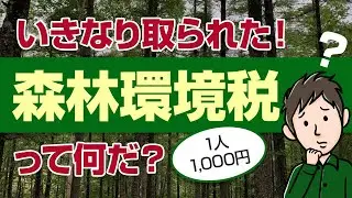 森林環境税って何？いきなり取られた謎の税金をわかりやすく解説します