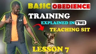 Basic obedience training 002