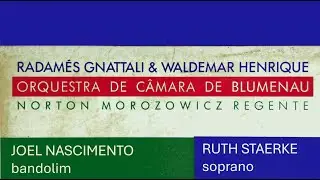 Radam&eacute;s Gnattali e Waldemar Henrique - Orquestra de C&acirc;mara de Blumenau - N. Morozowicz