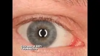 Forensic Imaging