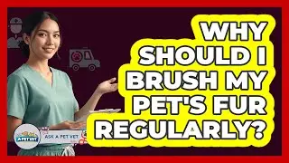 Why Should I Brush My Pet's Fur Regularly?