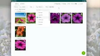 Image Gallery Module