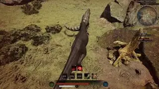 Rex vs Titan - PoT officials