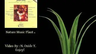 03 - Que Sera - Roberto Perera - Nature Music Plant - New Age Music Sampler
