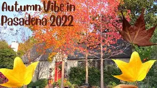 FALL IN PASADENA 2022 II AUTUMN IN SOUTHERN CALIFORNIA