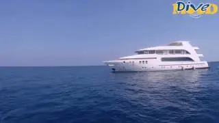 Dive Safari Adora