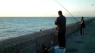 amatör balikçilar baliklar bakip bakip guluyorlardi