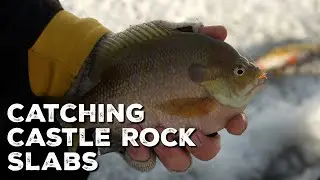 Panfish Madness on Castle Rock | Bluegills, Crappies & White Bass