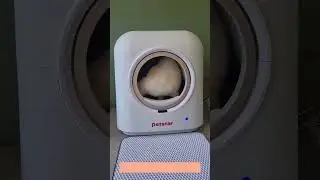 Watch this cool cat do its business in the #Petstar Smart Cat Litter Box 🐾