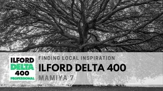Mamiya 7 with Ilford Delta 400 for B&W Landscape Photography