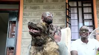 Eti ni afadhali kuishi na mbwa kuliko mtu? Jacky B ayaweka wazi ndani ya Gumzo la Sato