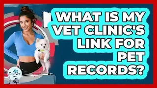 What Is My Vet Clinic's Link For Pet Records?