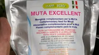 Muta Excellent Happy Bird - الجزء الثاني/Dr Reda Numedia