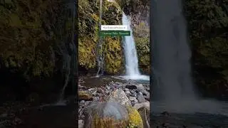 Dawson Falls at Mt Taranaki NZ #newzealand #dawsonfalls #waterfall #nature