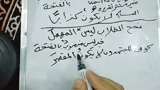 المستثنى ب(ليس ولا يكون)،وإجابة أسئلته.