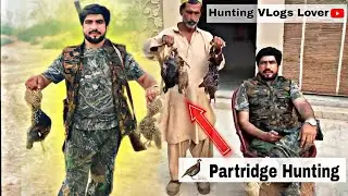 partridge hunting in Sindh Pakistan by Mehar Khan 2024