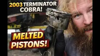 Разборка двигателя Terminator Cobra 2003 года &mdash; Поршни перегрелись. Часть 1.
