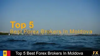 Best Forex Brokers In Moldova📈