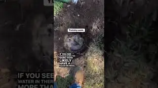 Septic Tank Backing Up? Watch this first #shorts