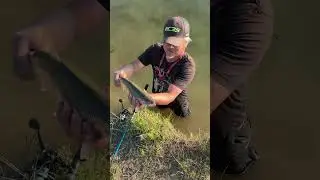 Fishing Amazing Aurora Reservoir: Aurora, Colorado: #fishing #world