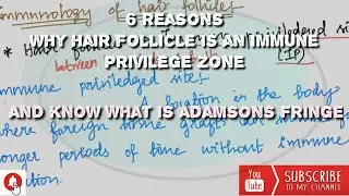 Immune privelege of Hair follicle