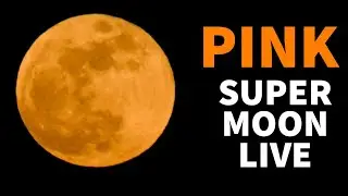 Pink Super Moon 2021 Live 🔴 Super Pink Moon 2021 🔴 Pink Moon Live