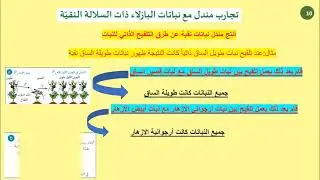 الوراثة المندلية  1