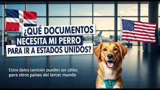 C&oacute;mo llevar un perro de Rep&uacute;blica Dominicana a Estados Unidos 🇩🇴✈️🇺🇸 | Requisitos CDC 2025