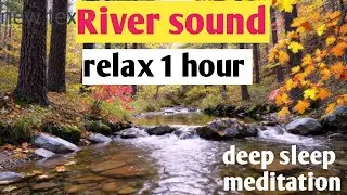 River Flowing Sound Effect 🌊 | Relaxing Nature Sound | Sleep & Meditation
