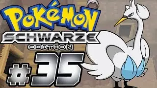 POK&Eacute;MON SCHWARZ # 35 🖤 Mit Swaroness im Wendelberg!