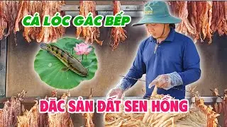 Đặc sản miền sông nước | Cá lóc gác bếp nâng tầm giá trị đất Sen Hồng.