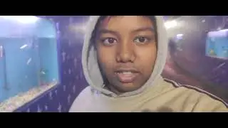 Going to fish tunnel in dimapur mela 2026