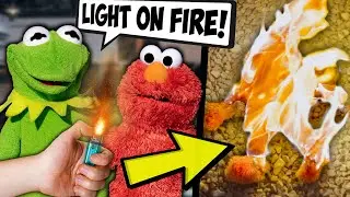 I let Kermit and Elmo Control My Life for 24 HOURS! (Gone Wrong)