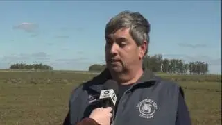 Globo Rural - Clima favor&aacute;vel anima produtor na hora do plantio de arroz no RS