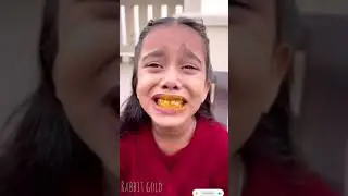 Amaira ko mila dog 🐕||new funny video max || new comedy video max 2026||#Rabbitgold