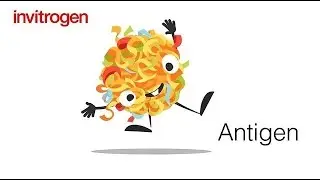 Introducing&hellip;. Antigen