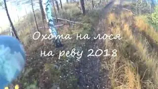 Охота на лося на реву 2018