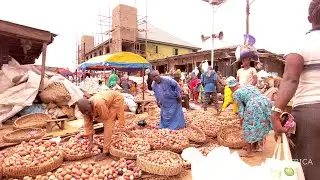 Insanely Big Raw food Market in the Largest City in Africa - Bodija Market, Oyo Nigeria
