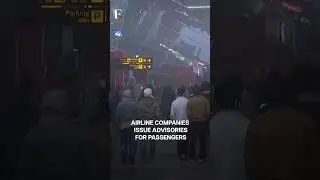 Thick Fog Grips Delhi-NCR, Visibility Near-Zero, Flights Affected | N18G