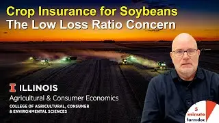 Insurance for Soybeans: The Low Loss Ratio Concern YouTube
