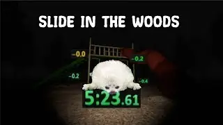 SLIDE IN THE WOODS ANY% WORLD RECORD | 5:23:61