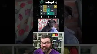 This dog can be adopted from Working Dogs Rescue in Phoenix, AZ  | Adoptle May 5, 2024