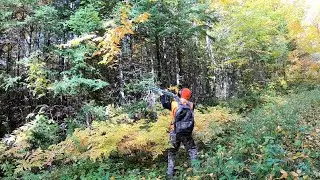 October in Maine: Partridge Hunting